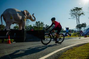 BIB: 
                            <button type="button" onclick="openModal(26182988)" class="btn btn-primary btn-sm float-right btn-popup" data-toggle="modal" data-target=".modal-high-quality">
                        <i class="fas fa-shopping-cart"></i> Add to Cart
                    </button>
                                            <button type="button" onclick="isThisMe(26182988, true)" class="btn btn-success btn-sm float-right btn-popup btn-isme hidden" data-toggle="tooltip" data-placement="bottom" title="นี่คือรูปของคุณใช่ไหม คลิกที่นี่เพื่อเอาเข้าอัลบั้ม">
                        <i class="fas fa-plus"></i> Add to album
                    </button>
                    <button type="button" onclick="isThisMe(26182988, false)" class="btn btn-warning btn-sm float-right btn-popup btn-isnotme hidden">
                        <i class="fas fa-ban"></i> Remove from album
                    </button>